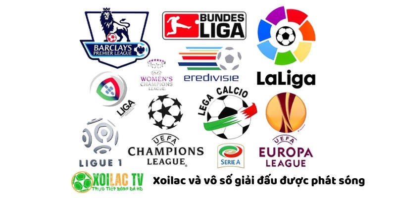 Đa dạng các giải đấu tại xoilac tv
